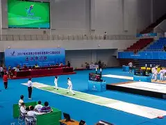 普林斯洛在击剑比赛中获得好成绩的简单介绍