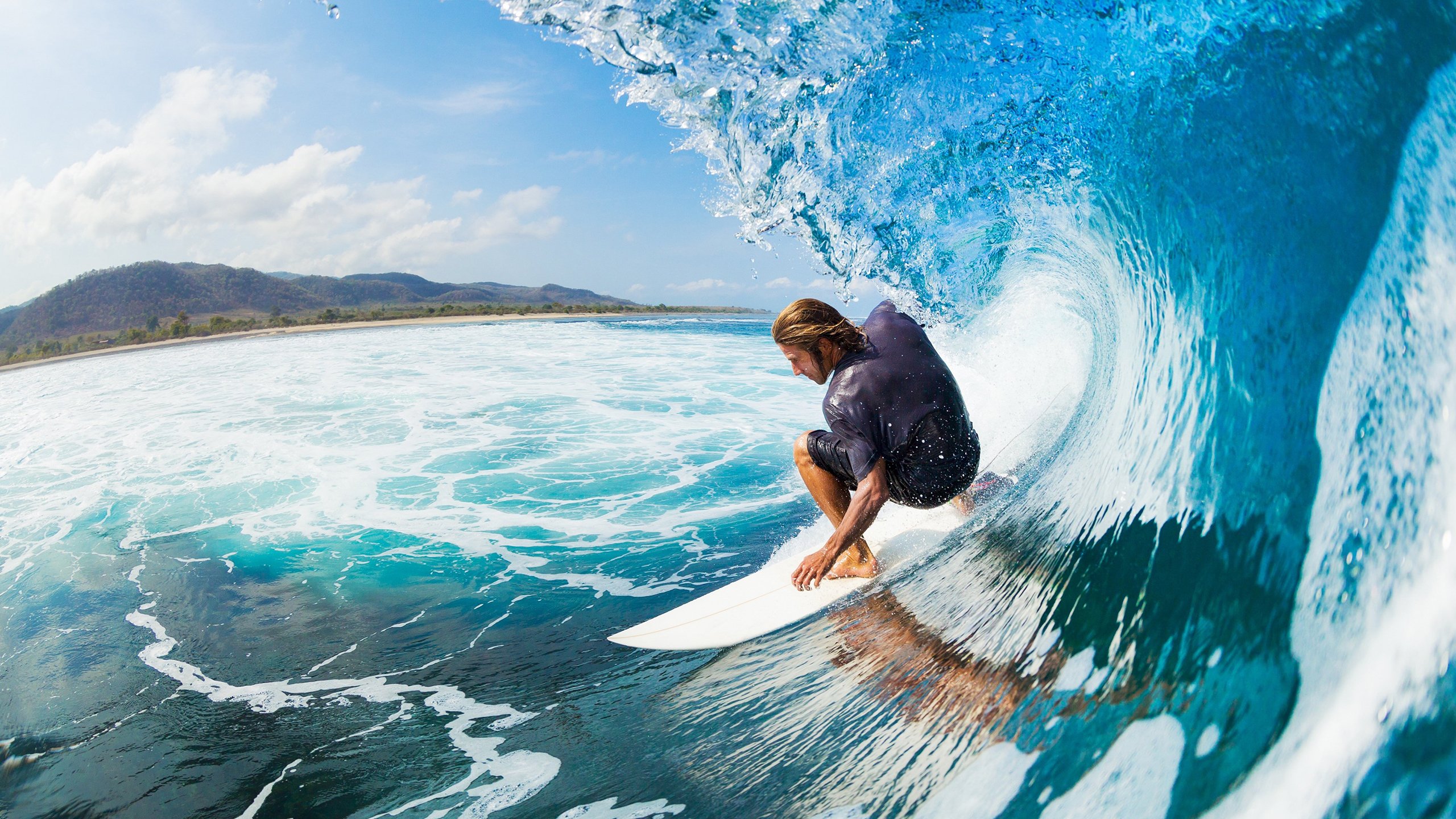 世俱杯官网-逆袭之夜，当黄蜂蛰疼魔术，米切尔用生涯之夜写下草根传奇